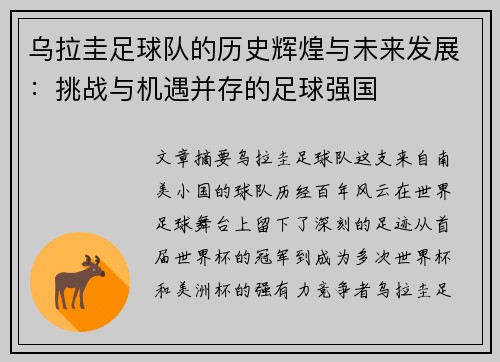 乌拉圭足球队的历史辉煌与未来发展：挑战与机遇并存的足球强国