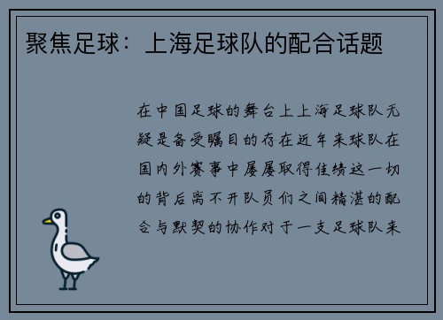 聚焦足球：上海足球队的配合话题