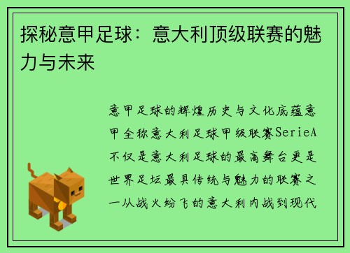探秘意甲足球：意大利顶级联赛的魅力与未来