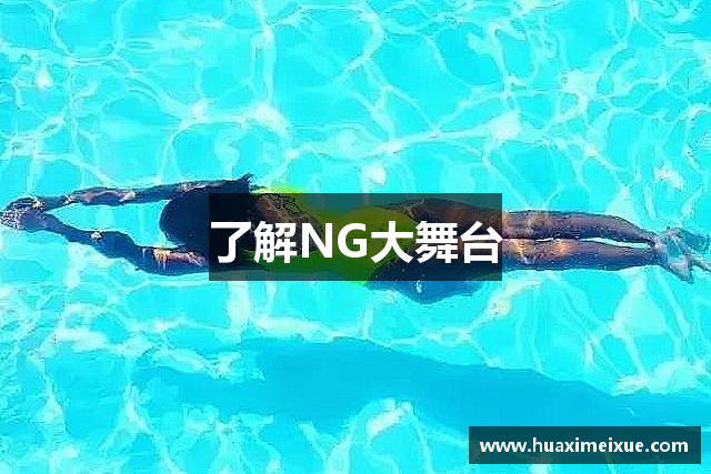 了解NG大舞台